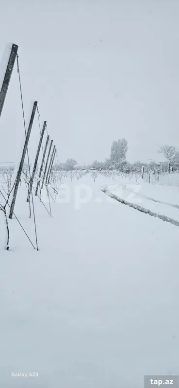 Satılır torpaq sahəsi