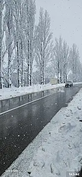 Satılır torpaq sahəsi — Qusar