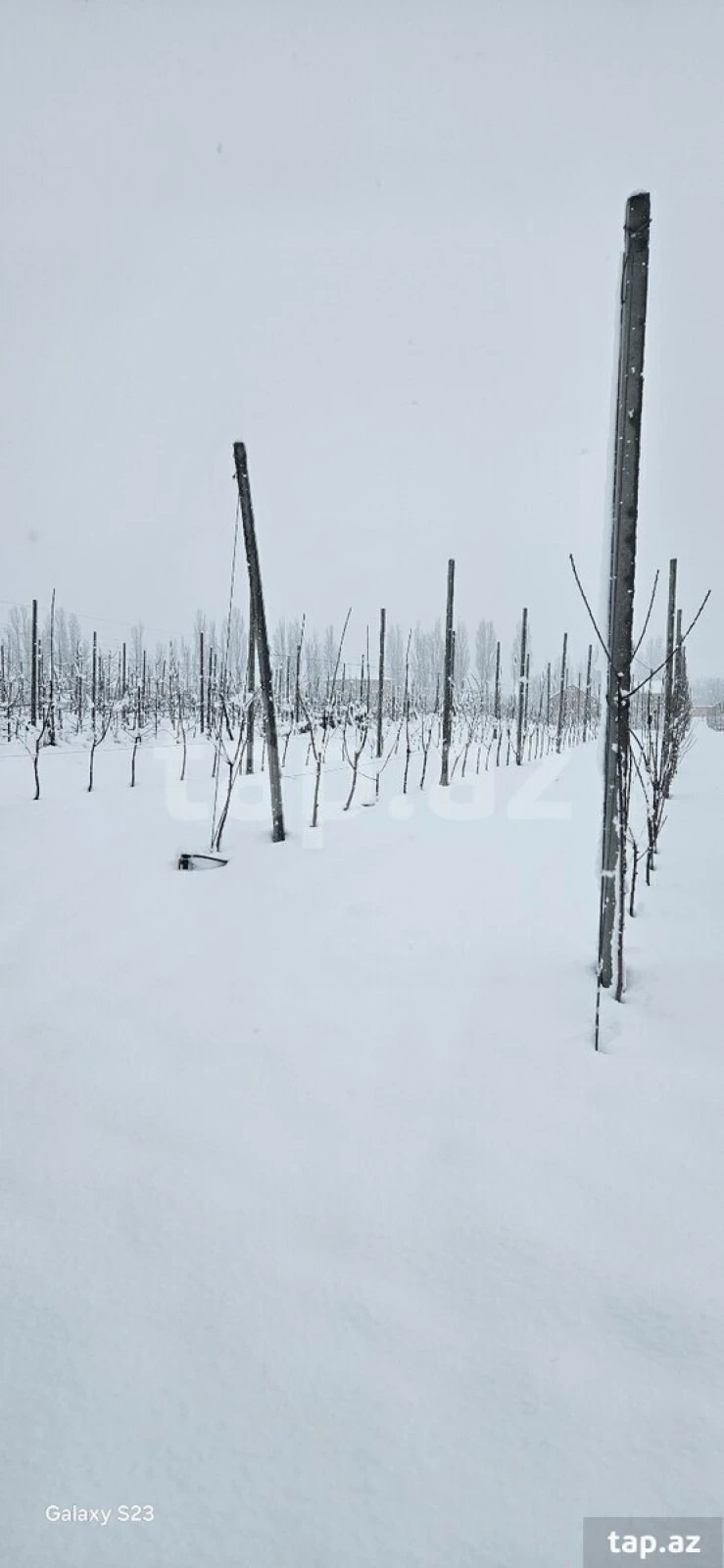 Satılır torpaq sahəsi