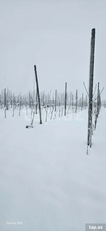 Satılır torpaq sahəsi