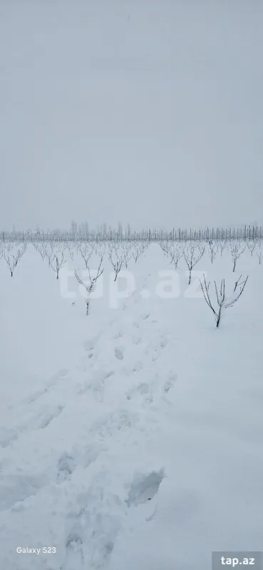 Satılır torpaq sahəsi