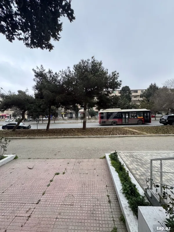 Kirayə verilir ofis