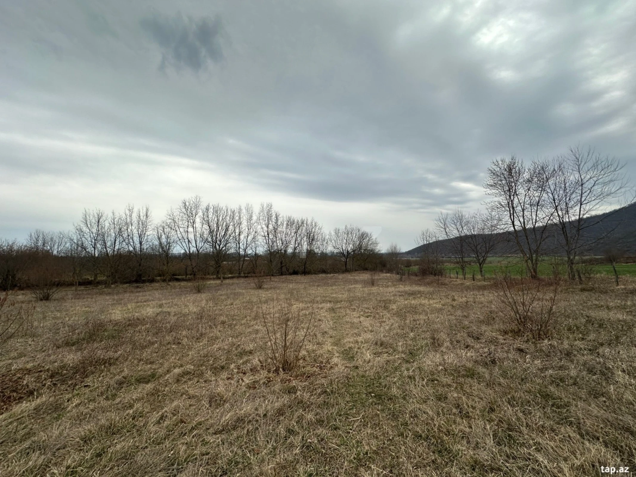 Satılır torpaq sahəsi