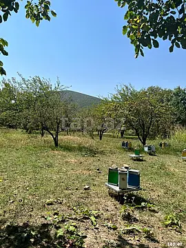 Satılır torpaq sahəsi — Şəki