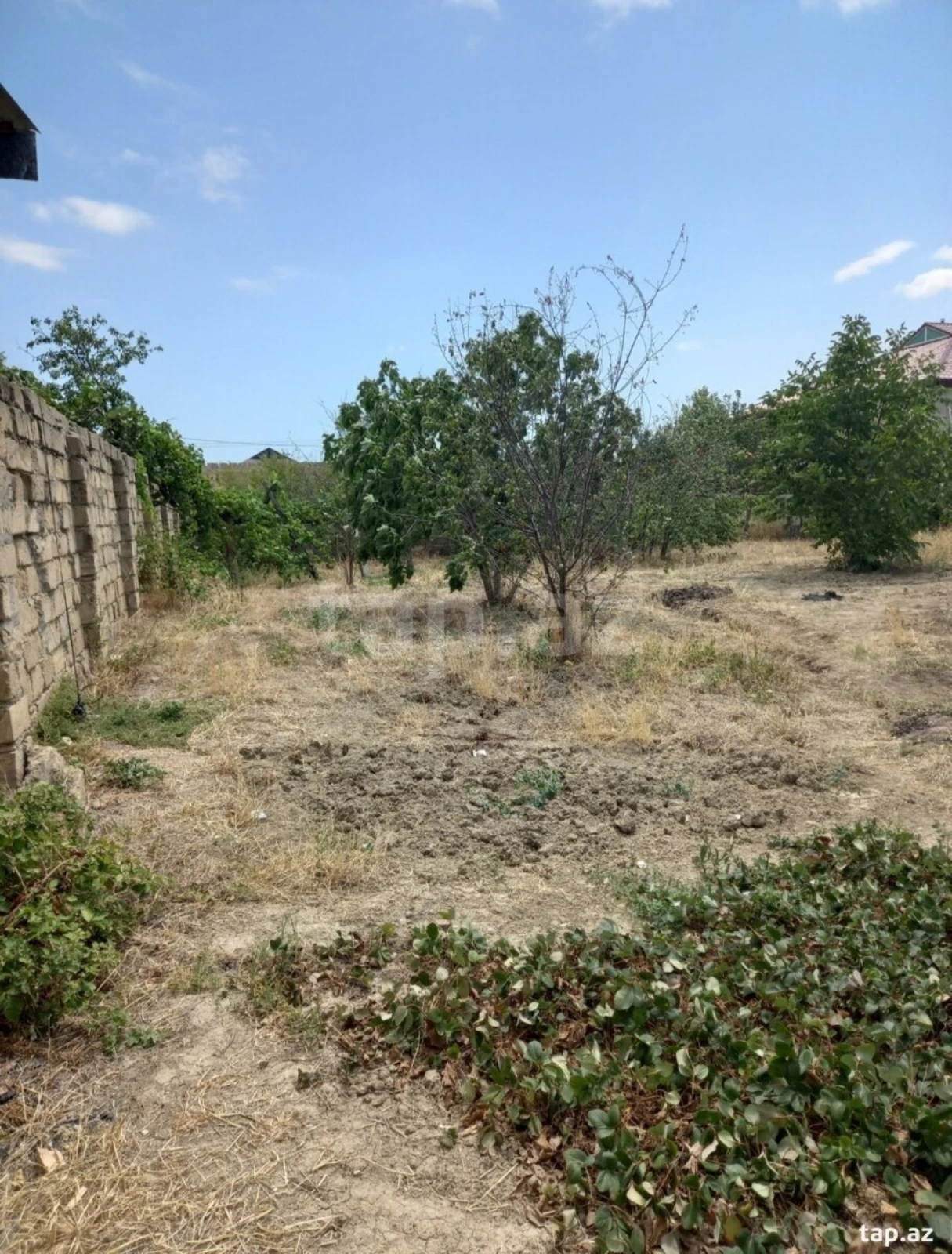 Satılır torpaq sahəsi