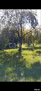 Satılır torpaq sahəsi — İsmayıllı