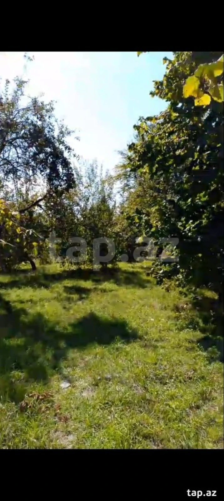 Satılır torpaq sahəsi