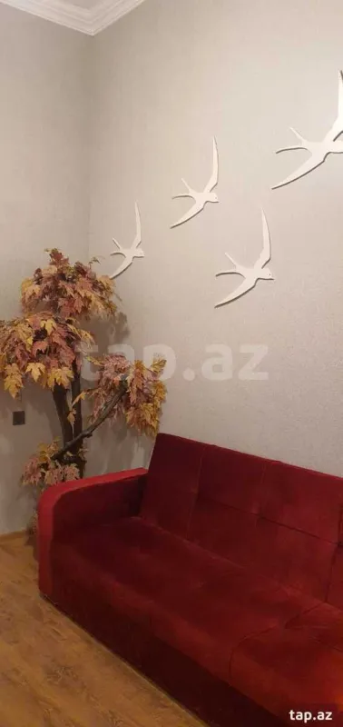 Kirayə verilir 2 otaqlı mənzil 45 m²