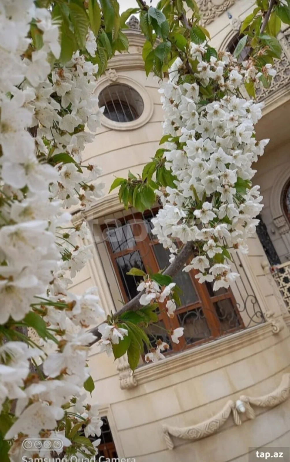 Kirayə verilir 8 otaqlı həyət evi