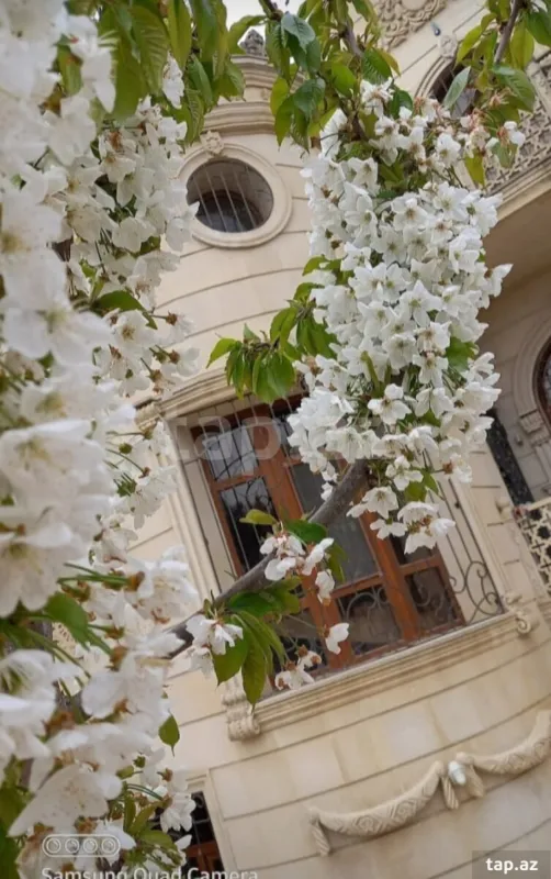 Kirayə verilir 8 otaqlı həyət evi
