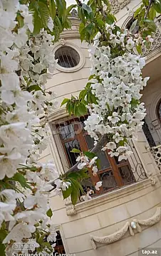 Kirayə verilir 8 otaqlı həyət evi — Bakı, Ramana 8 otaq