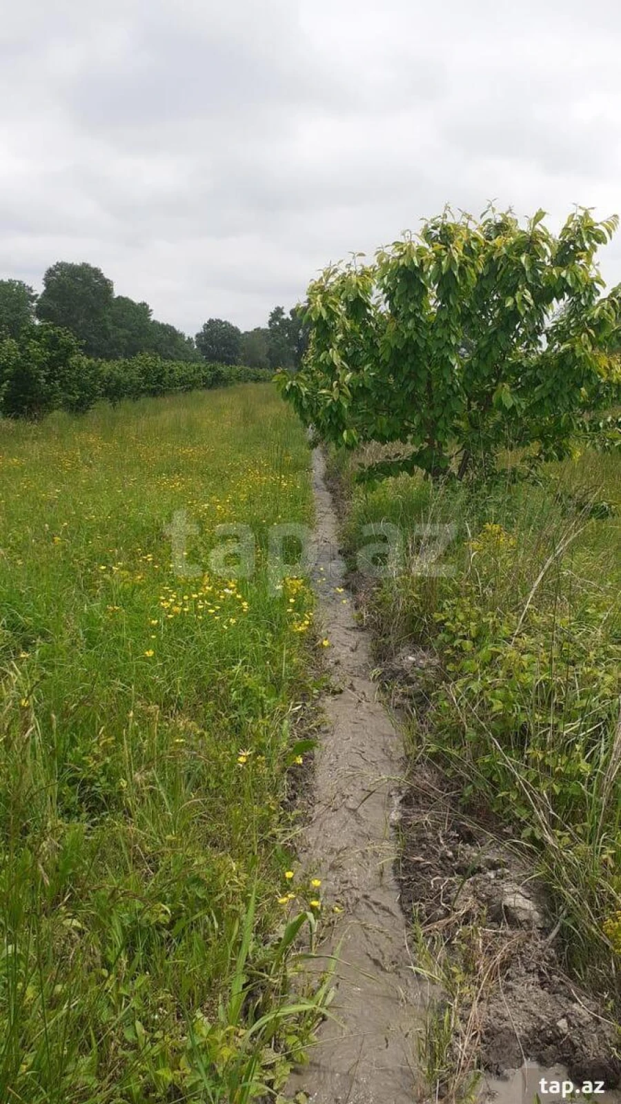 Satılır torpaq sahəsi