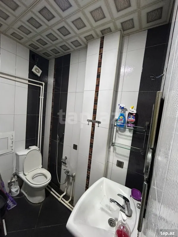 Kirayə verilir 3 otaqlı yeni tikili 120 m²