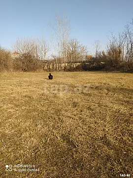 Satılır torpaq sahəsi — Saatlı