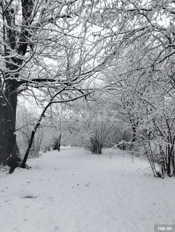 Kirayə verilir 5 otaqlı həyət evi