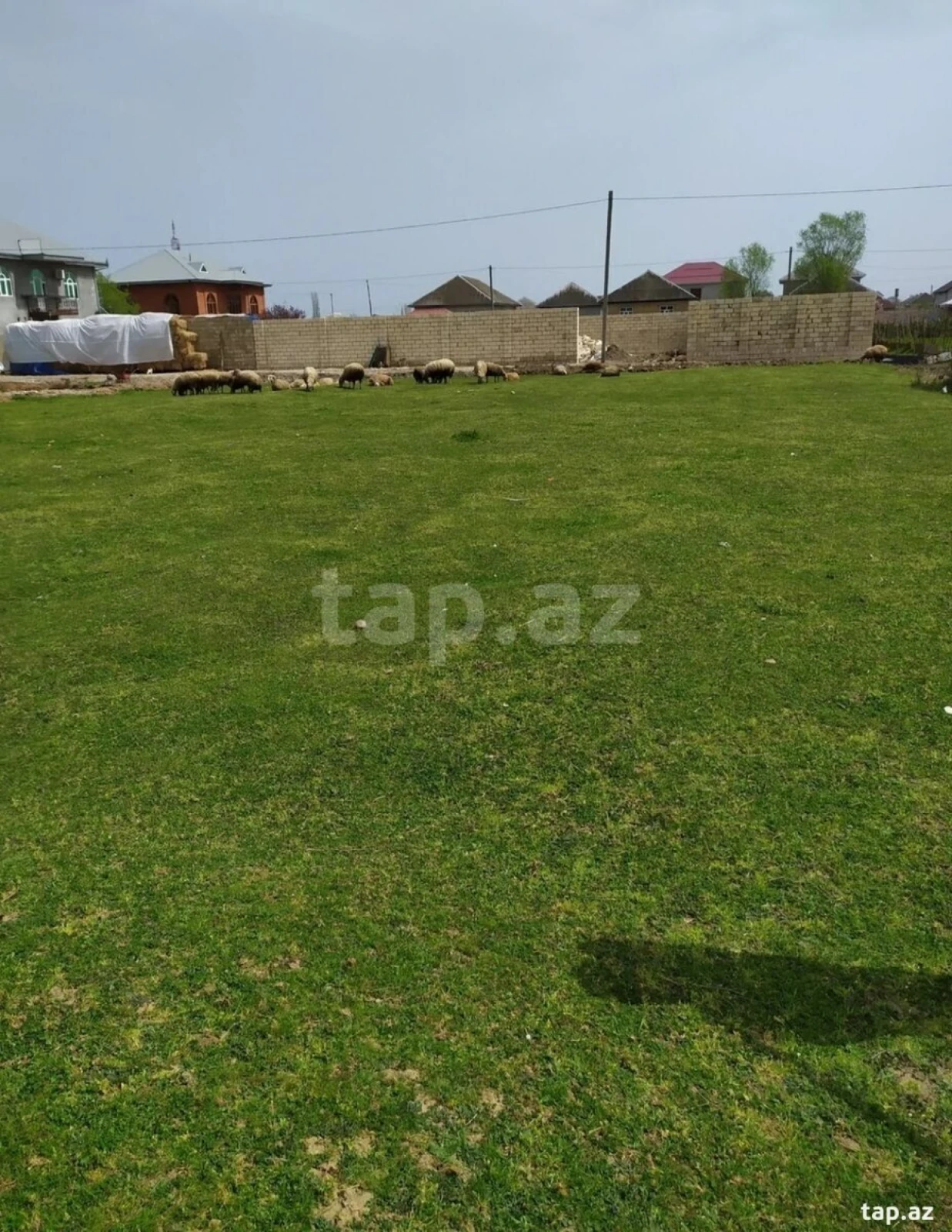 Satılır torpaq sahəsi