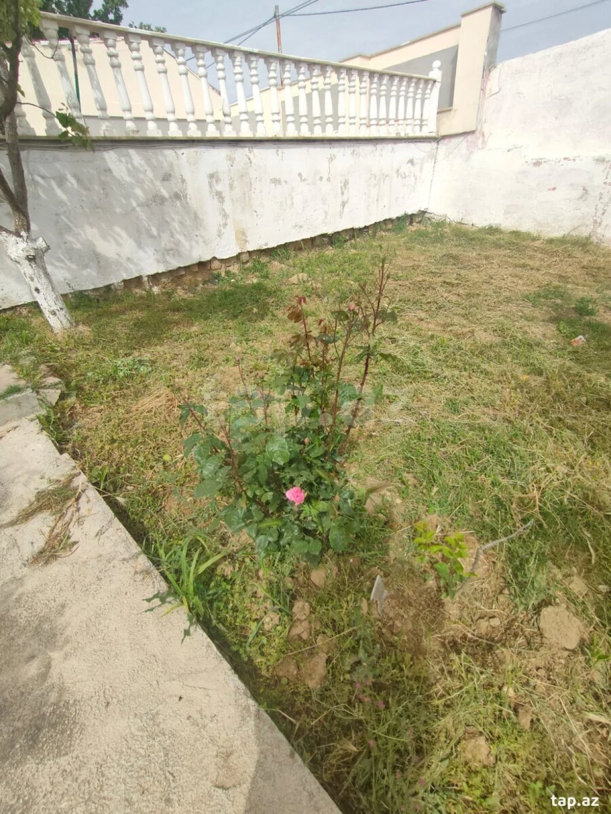 Kirayə verilir 3 otaqlı həyət evi