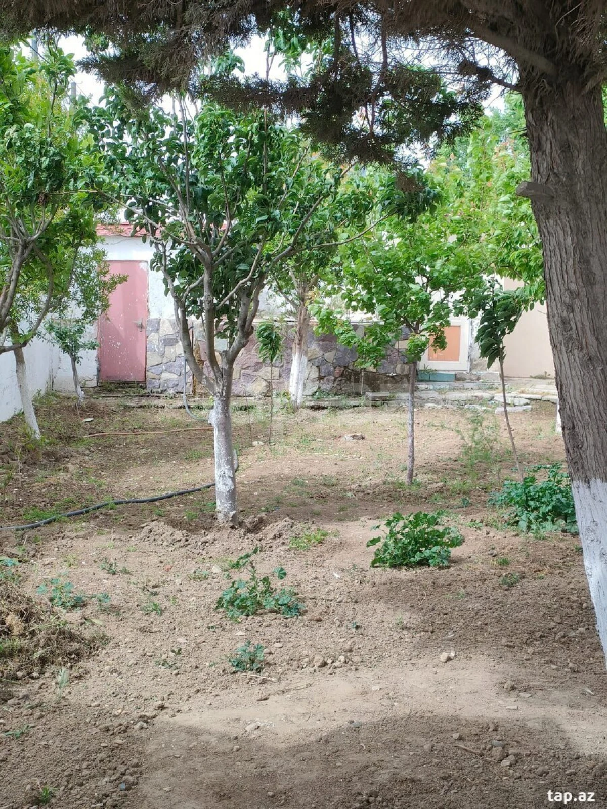 Kirayə verilir 3 otaqlı həyət evi