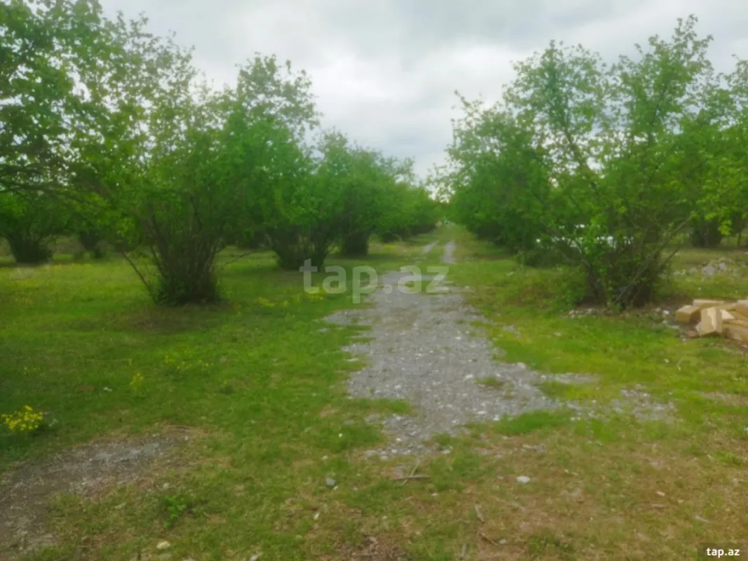 Satılır 3 otaqlı həyət evi