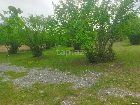 Satılır 3 otaqlı həyət evi