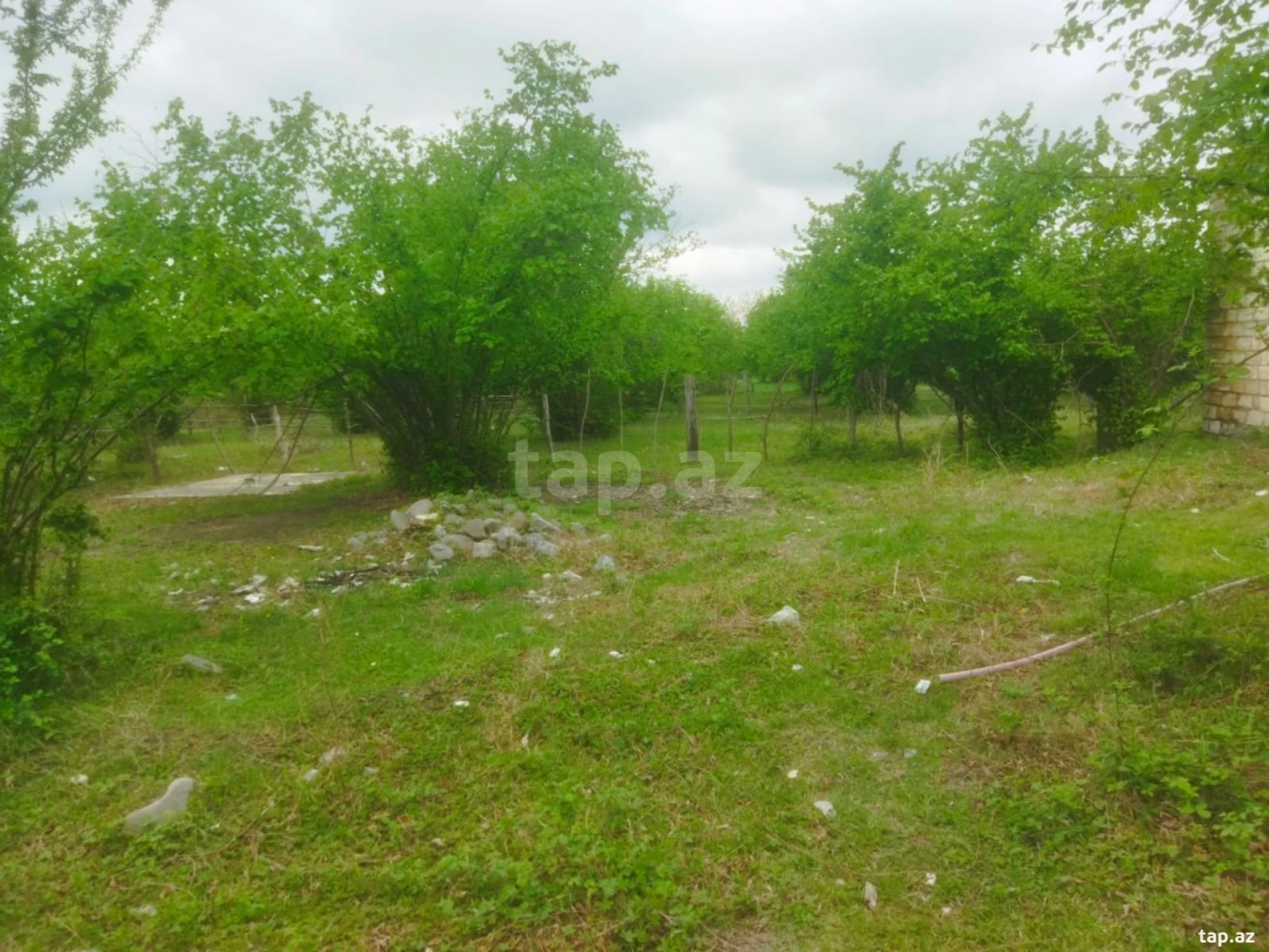 Satılır 3 otaqlı həyət evi