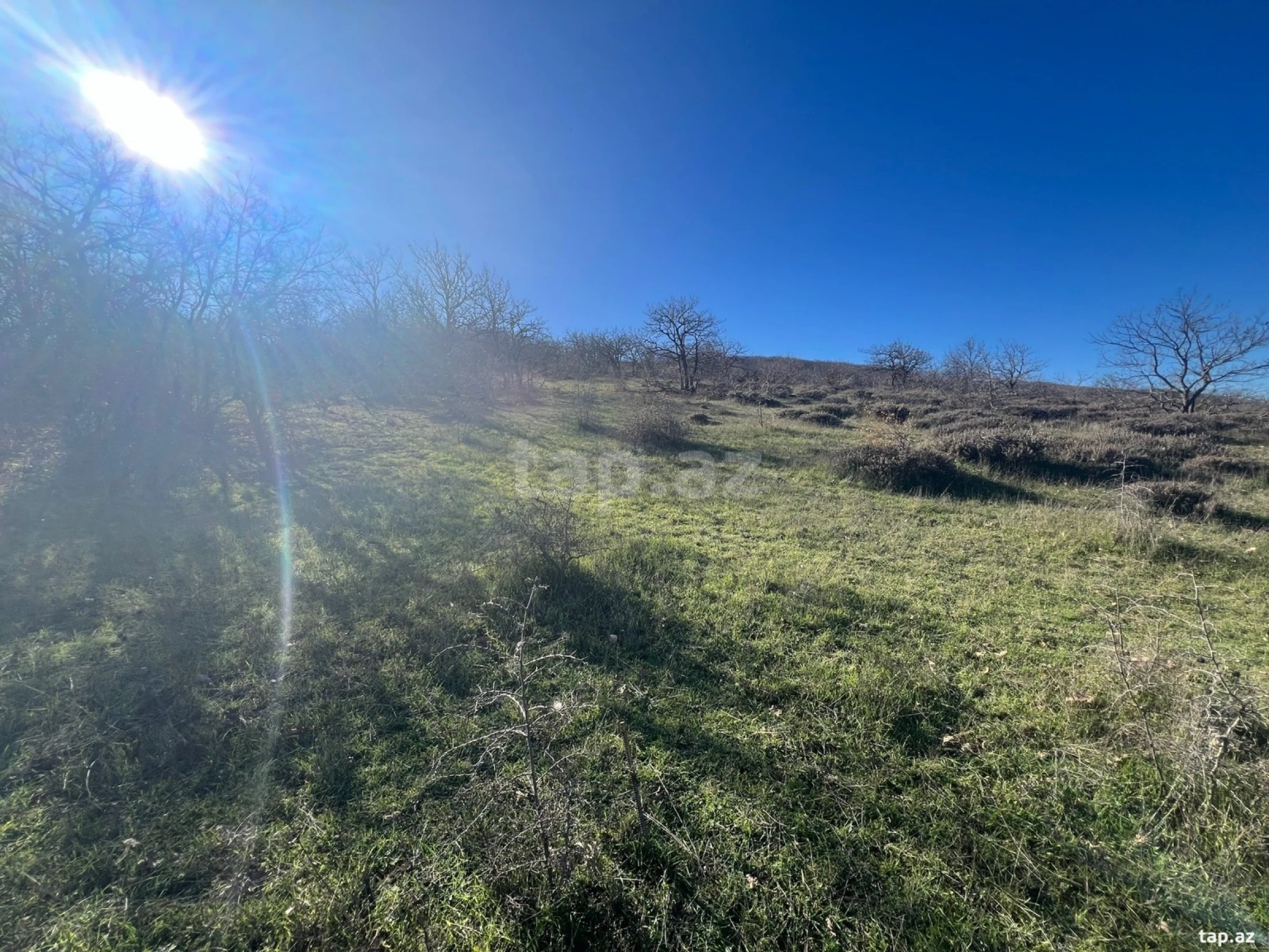 Satılır torpaq sahəsi