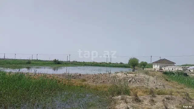 Satılır torpaq sahəsi — Salyan