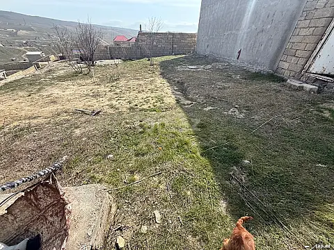 Satılır 3 otaqlı həyət evi