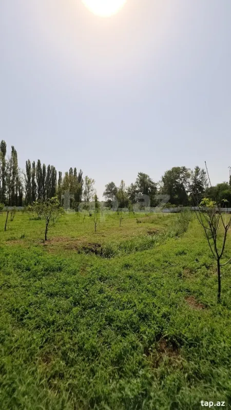 Satılır torpaq sahəsi