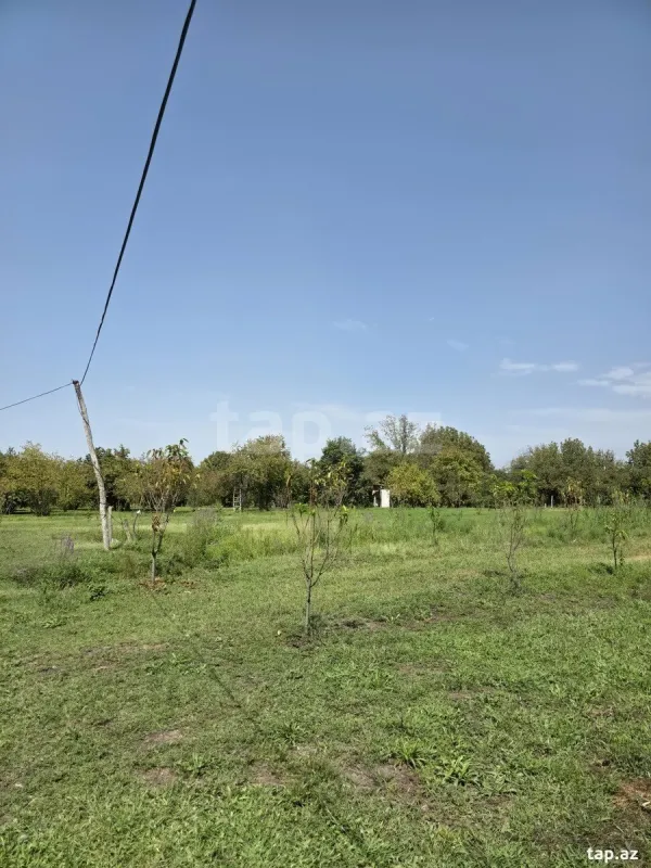 Satılır torpaq sahəsi