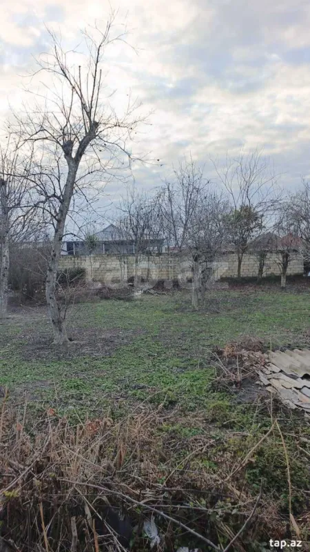 Satılır torpaq sahəsi