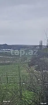 Satılır torpaq sahəsi — Qusar