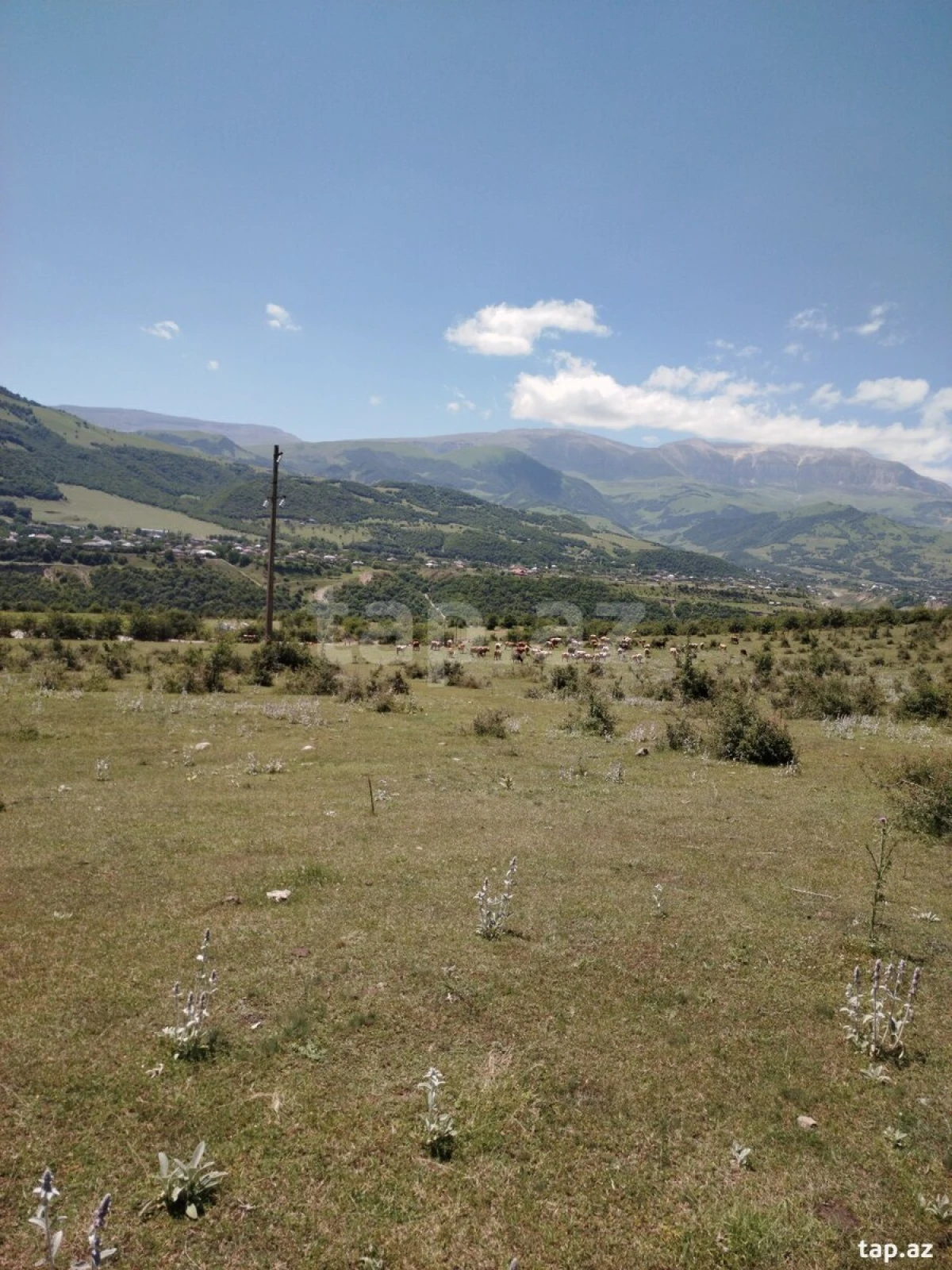 Satılır torpaq sahəsi