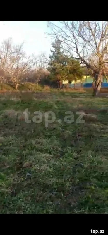 Satılır torpaq sahəsi
