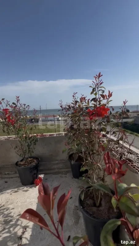 Satılır 4 otaqlı həyət evi