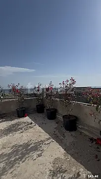 Satılır 4 otaqlı həyət evi