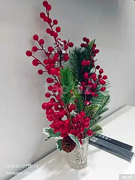 Kirayə verilir 3 otaqlı yeni tikili 70 m²