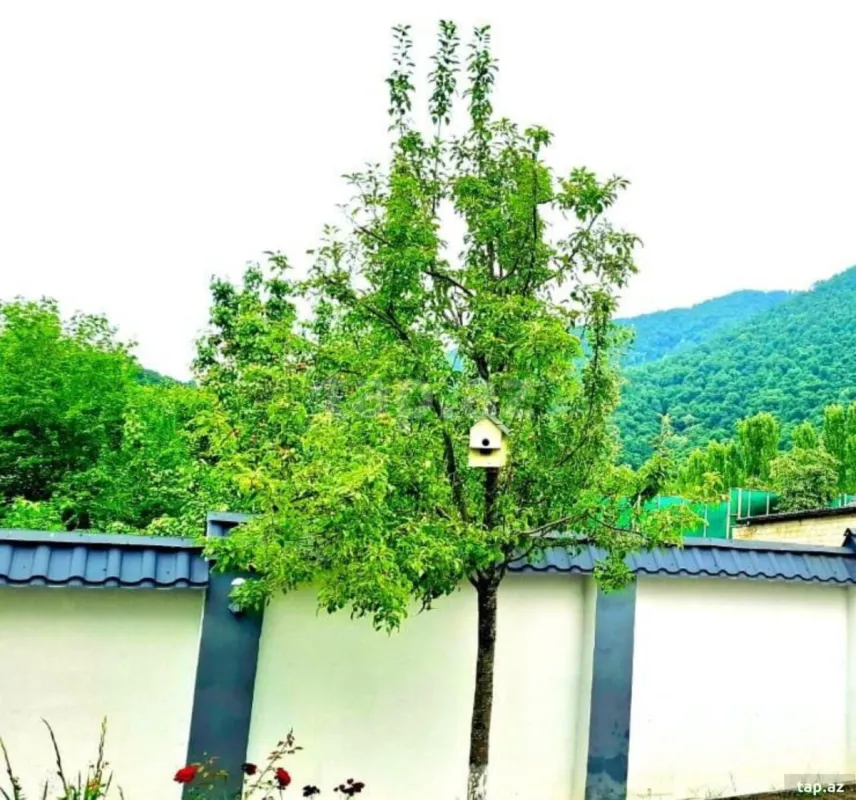 Kirayə verilir 4 otaqlı həyət evi