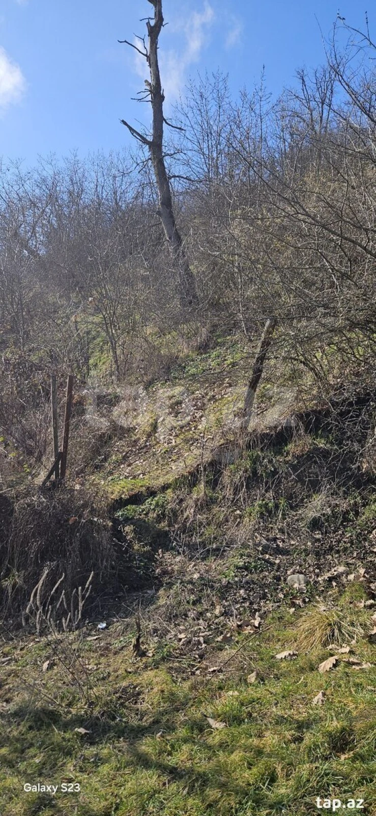 Satılır torpaq sahəsi