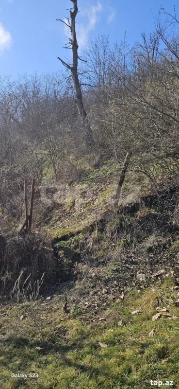 Satılır torpaq sahəsi