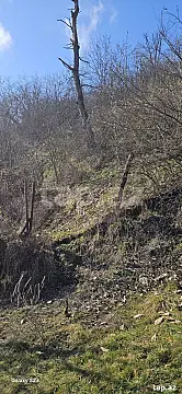 Satılır torpaq sahəsi — Qusar