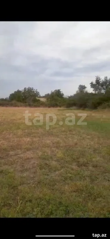 Satılır torpaq sahəsi