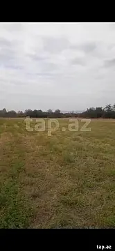 Satılır torpaq sahəsi — Qəbələ