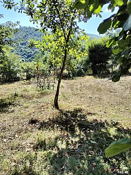 Satılır torpaq sahəsi — Qəbələ