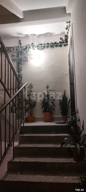Satılır 5 otaqlı mənzil 100 m²