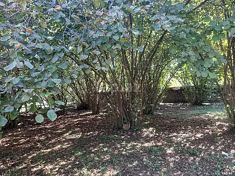 Satılır 2 otaqlı həyət evi