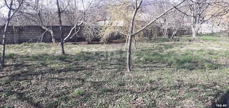 Satılır torpaq sahəsi — İsmayıllı