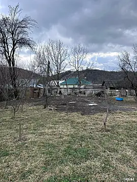 Satılır torpaq sahəsi — Qəbələ