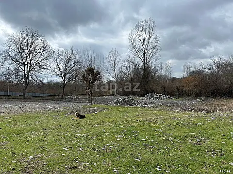 Satılır torpaq sahəsi — Qəbələ