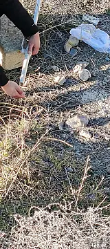 Satılır 5 otaqlı həyət evi